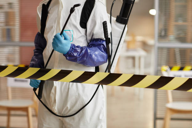Professional Sewage Cleanup technician working in Harrison, MI